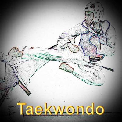 Taekwondo redimensionner